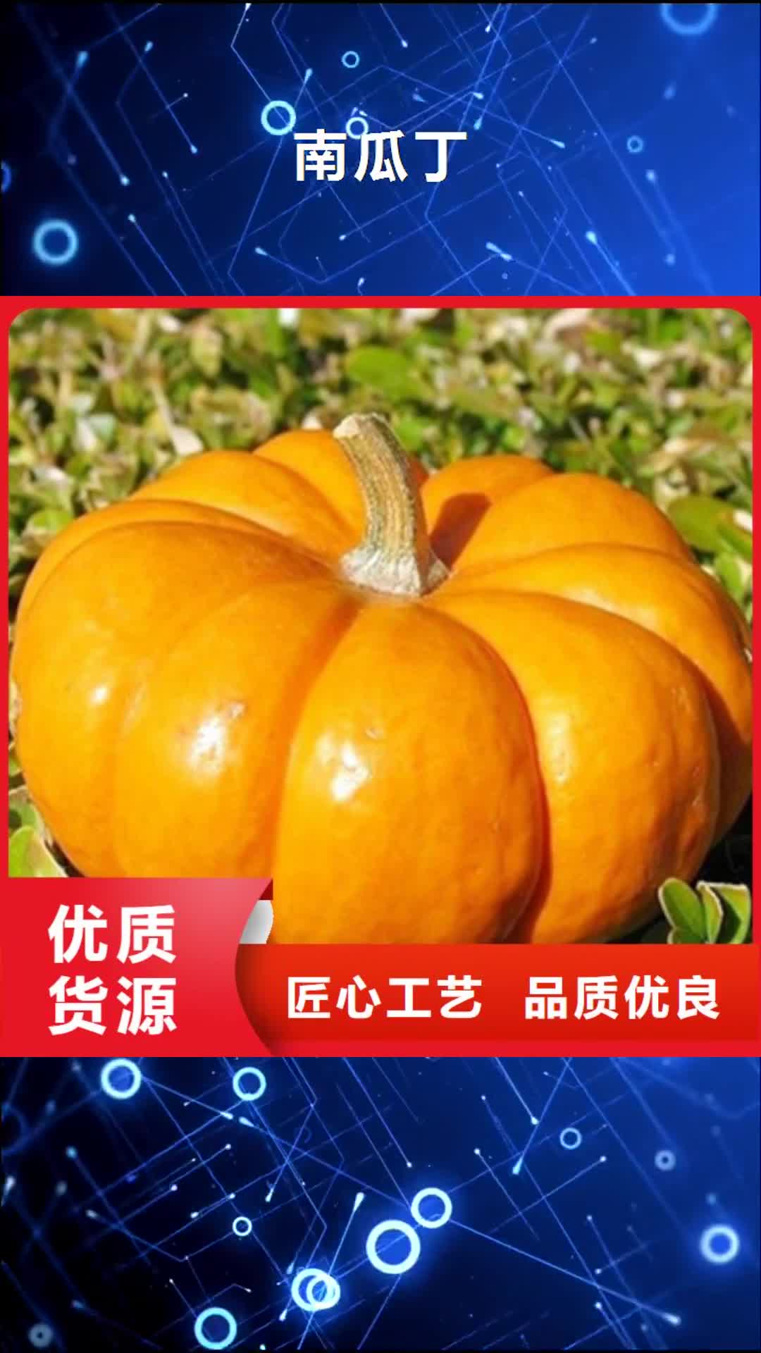萍乡【南瓜丁】-胡萝卜粉批发供应