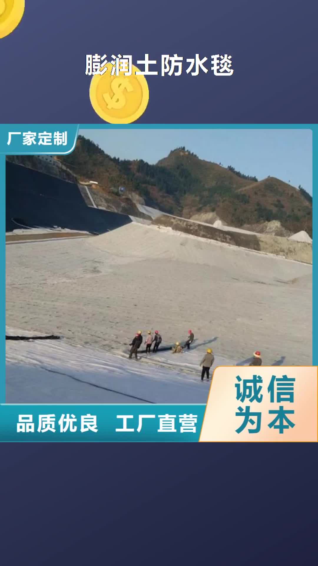 滁州【膨润土万博官方下载3.0app毯】 钢塑土工格栅专业设计