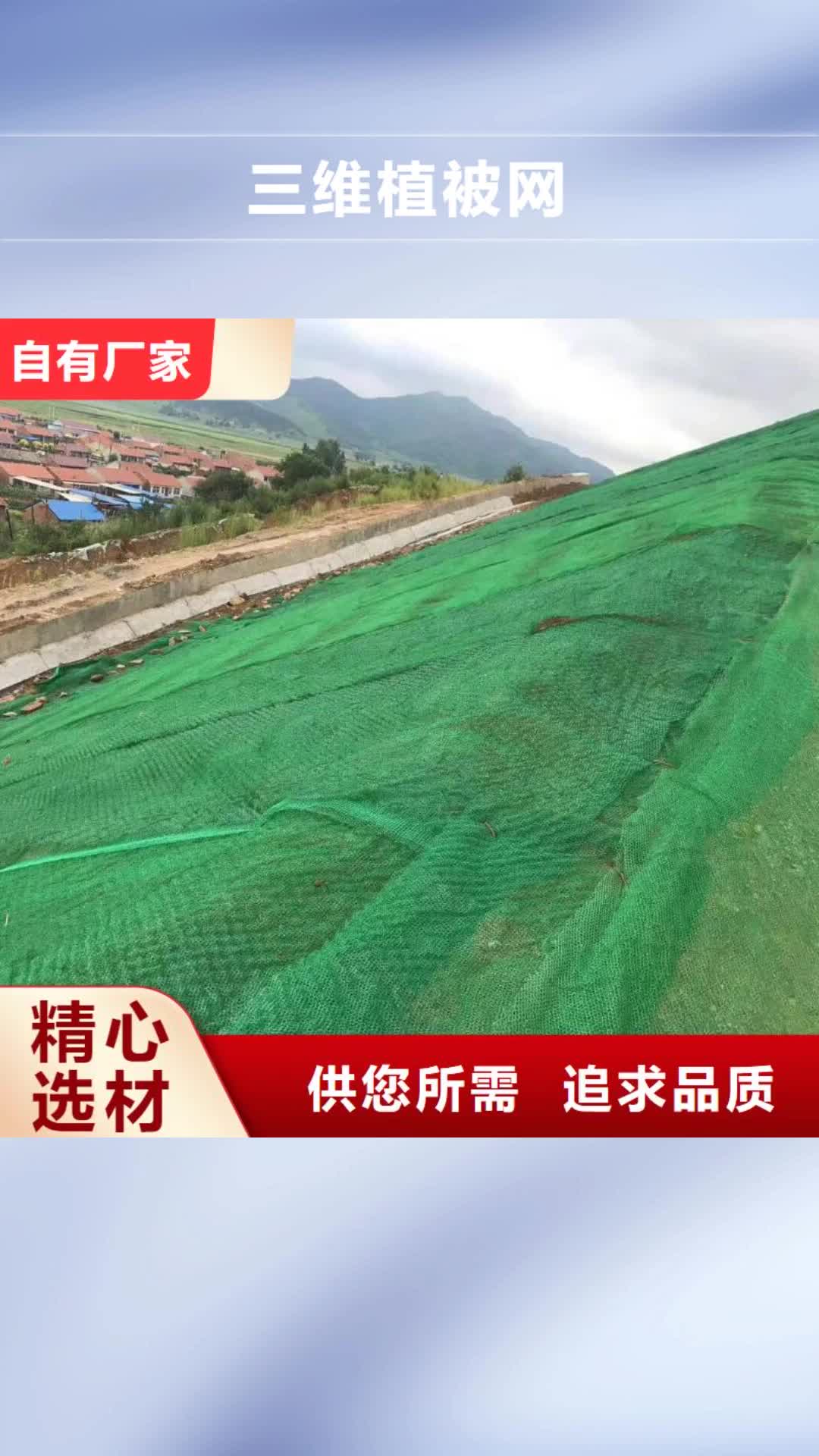 【浙江 三维植被网-钢塑土工格栅厂家技术完善】