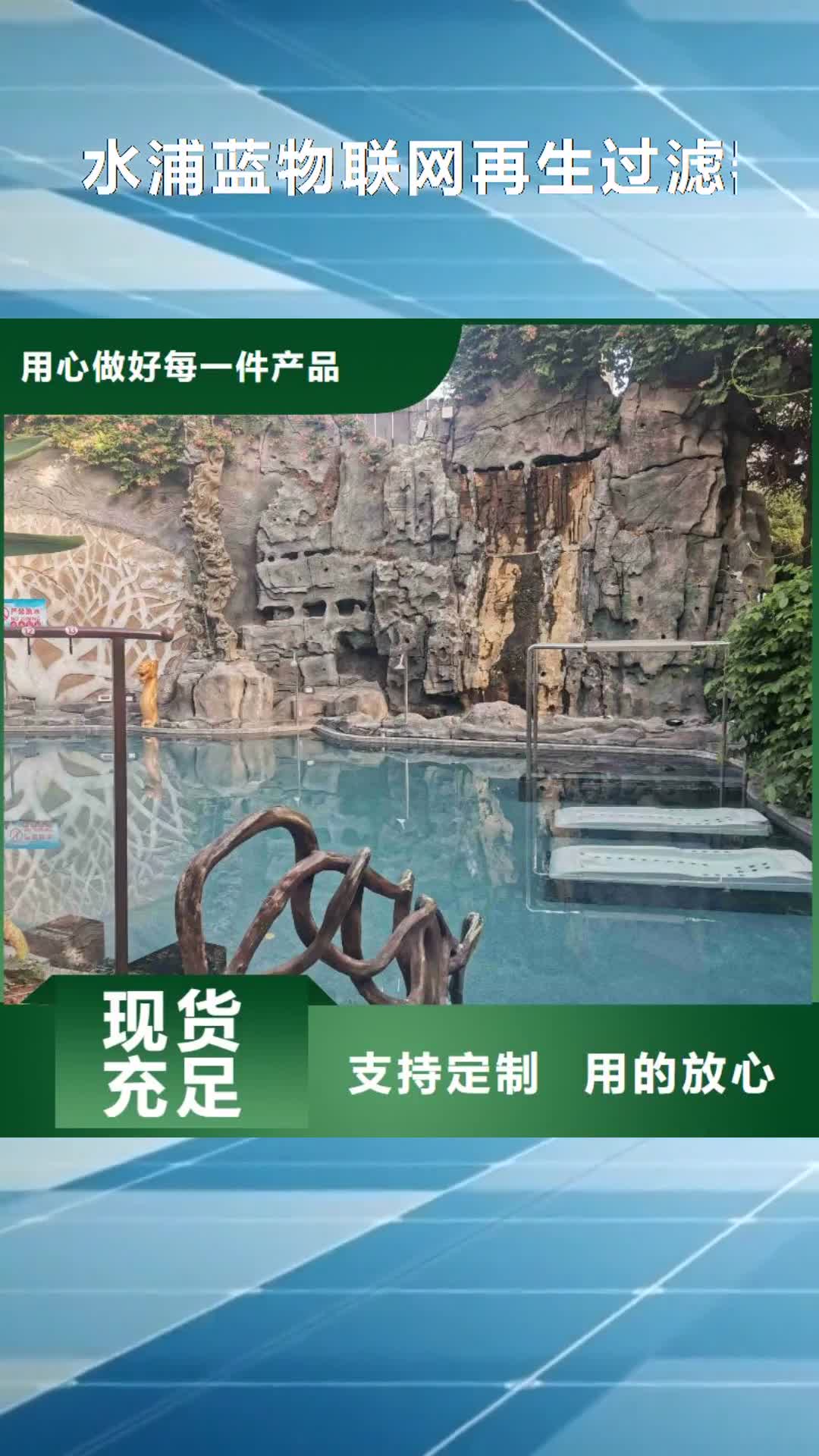 武汉 水浦蓝物联网再生过滤器 【温泉加热设备】源头厂家